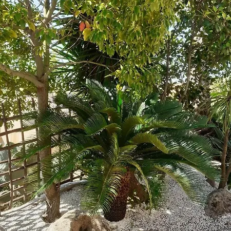 Petite Maison Prázdninový dům *