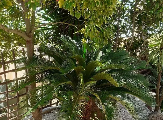 Petite Maison Casa vacanze *